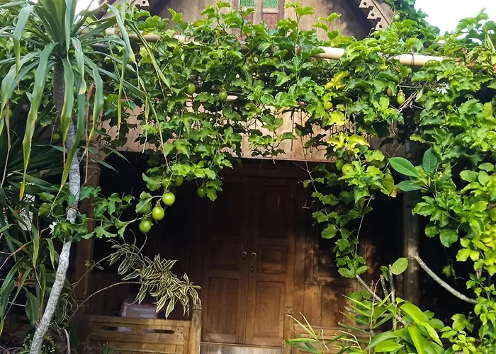 Guest house Kayu Tua